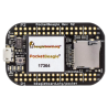 POCKETBEAGLE-SC-569 BB-POCKET Pocket Beagle, OSD3358 SoC, Compact Size, 72 Expansion Pins POCKETBEAGLE-SC-569 BB-POCKET Pocket Beagle, OSD3358 SoC, Compact Size, 72 Expansion Pins