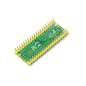 Sensor Kit Raspberry Pi Pico 2 Microcontroller Board,RP2350  Dual-core   (WS- 28579)