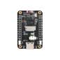 ESP32-S3 1.64inch AMOLED Touch Display Dev.Board, 280×456, QSPI, Accelerometer,Gyroscope (WS-31197) ESP32-S3 1.64inch AMOLED Touch Display Dev.Board, 280×456, QSPI, Accelerometer,Gyroscope (WS-31197)