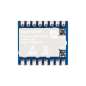 Core1121 HF Dual-Band LoRa Module, Low-Power LR1121 Transceiver, For Sub-GHz And 2.4GHz (WS-31900) Core1121 HF Dual-Band LoRa Module, Low-Power LR1121 Transceiver, For Sub-GHz And 2.4GHz (WS-31900)