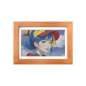 ESP32-S3-PhotoPainter 7.3inch E6 Full Color E-paper Display With Solid Wood Photo Frame, 800×480 (WS-32753) ESP32-S3-PhotoPainter 7.3inch E6 Full Color E-paper Display With Solid Wood Photo Frame, 800×480 (WS-32753)