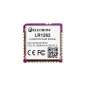 LR1262 LoRaWAN Node Module, support full frequency band (CRT01268N)