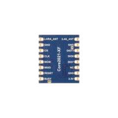Core2021 LF Dual-Band LoRa Module, LR2021 Transceiver, 2.4GHz And 1.5~2.5GHz Frequency Bands, LoRaWAN (WS-34547)