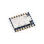 Core2021 HF Dual-Band LoRa Module, LR2021 Transceiver, 2.4GHz And 1.5~2.5GHz Frequency Bands, LoRaWAN (WS-34522)