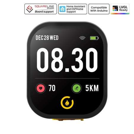 CrowPanel 2.01inch-HMI ESP32 Watch Display 240x296 IPS Touch Screen Microphone Voice Control (ER-DHB56201D)