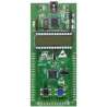 STM8L-DISCOVERY (EVALUATION BOARD STM8L15X) STM STM8L-DISCOVERY (EVALUATION BOARD STM8L15X) STM