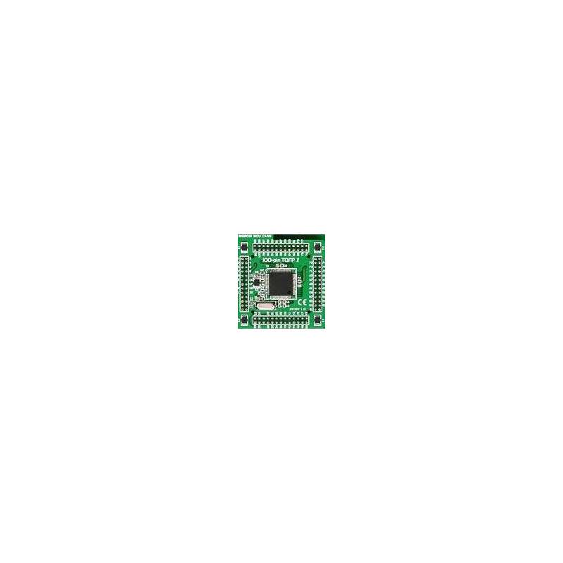BIG8051 100-pin MCU Card with C8051F040 (MIKROE-599)