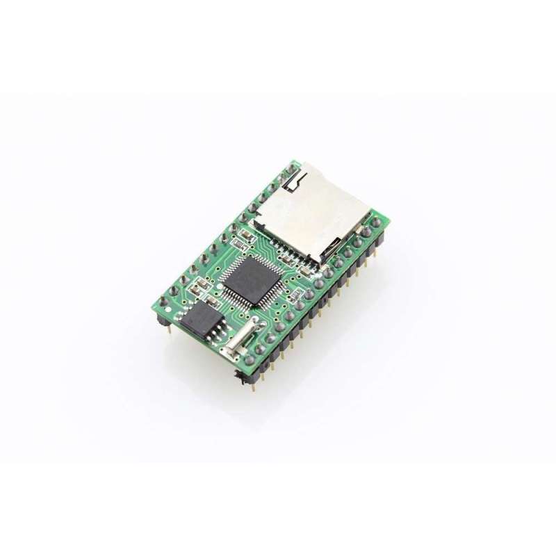 Music MP3 Player Module WT5001 (ER-AMP5001WT) MP3/WAV, RS232/USB