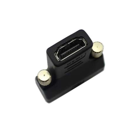 DVI-D 24+1 Pin Male to HDMI Female Converter (ER-RPA24106R)