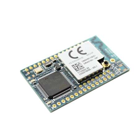 EMW3162 WIFI Module (ER-DPO03162W) 