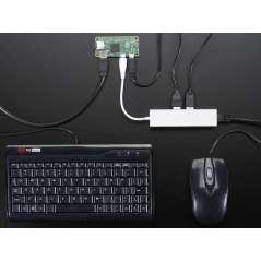 Ethernet Hub and USB Hub w/ Micro USB OTG Connector (AF-2992)